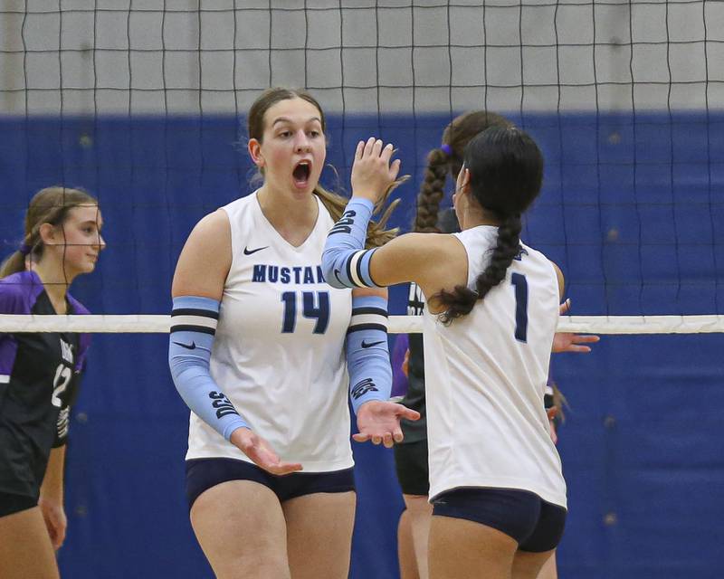 Downers Grove South celebrates a point during Class 4A Lyons Sectional Semifinal volleyball match between Downers Grove South at Downers Grove North. Nov 4, 2025 in La Grange.