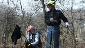 Give back to nature at a Will County forest preserve volunteer morning