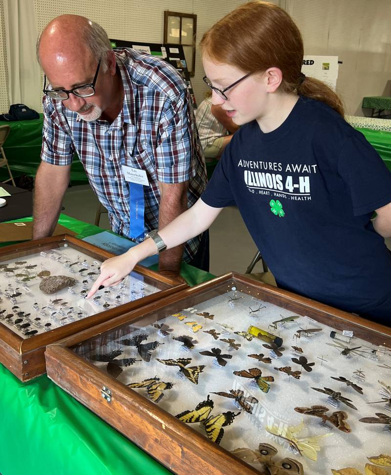 Hannah Severson of Newark discusses her 4-H entomology collection with volunteer judge Les Maierhofer at the Environment station of the Kendall County 4-H Show on Aug. 2, 2022.