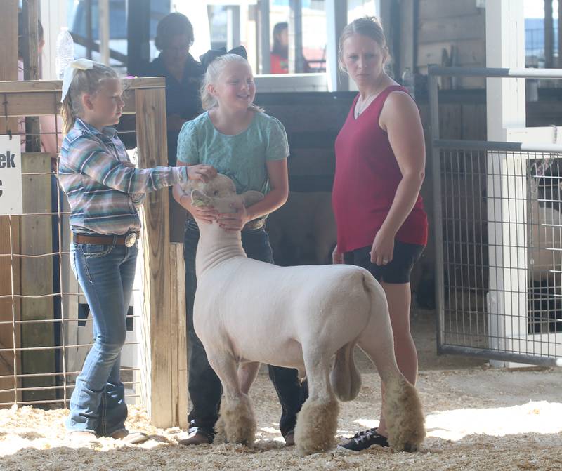 4-H kids prepare a ram for show at the Marshall-Putnam 4-H Fair on Wednesday, July 9, 2023 in Henry.