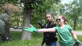 Photos: Milton Pope students help maintain Illini State Park in Marseilles 