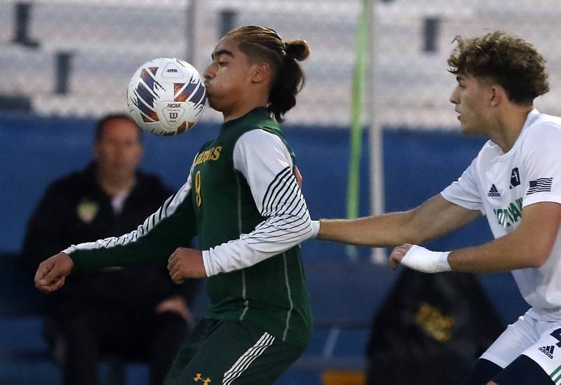 Crystal Lake South's Ali Ahmed plays the ball in front of Peoria Notre Dame's Thomas Graham during the IHSA Class 2A state championship soccer match on Saturday, Nov. 4, 2023, at Hoffman Estates High School.
