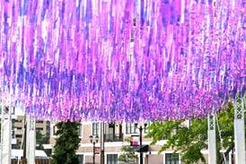 It’s raining color with return of Umbrella Sky Elmhurst