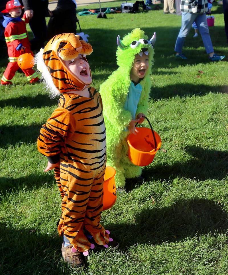 Photos BatFest in Batavia Shaw Local
