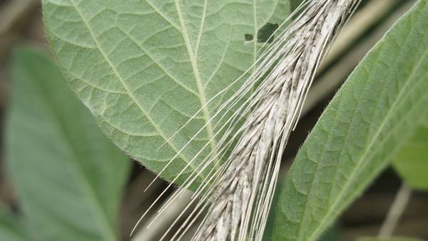 Public meeting on carbon capture set for Sept. 2 in Putnam