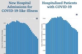 Rapid decline in COVID-19 hospitalizations in Illinois continues