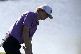 Hampshire’s Nolan Adamczyk places top 10 in first and last state tourney: Northwest Herald state golf roundup