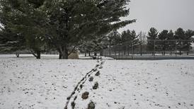 Snow, freezing rain to create dangerous conditions in most of Sauk Valley by Tuesday night