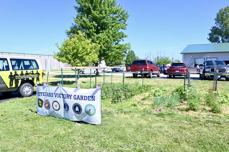 Since last May, the La Salle VA Clinic in Peru have been “sowing the seeds of victory” in their own 500-square-foot victory garden to provide for food insecure veterans who receive treatment at the clinic.