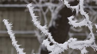 Youth mental health services available in DeKalb County