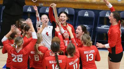 Near flawless Henry-Senachwine tops Seneca for T-CC volleyball tournament title