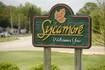 Prompted by population increase, Sycamore ward maps redrawn