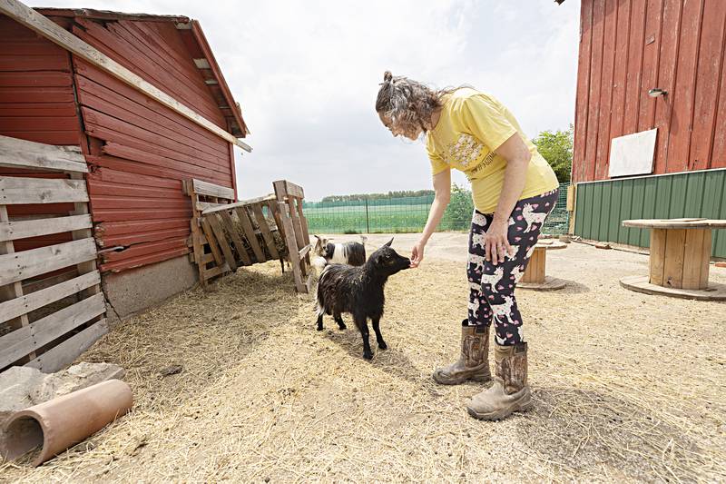 Abby Sweeney greets Raven, a mini silky Tuesday, June 6, 2023. For more information on the farm search for Happy Little Hooves Farm on Facebook and the web.