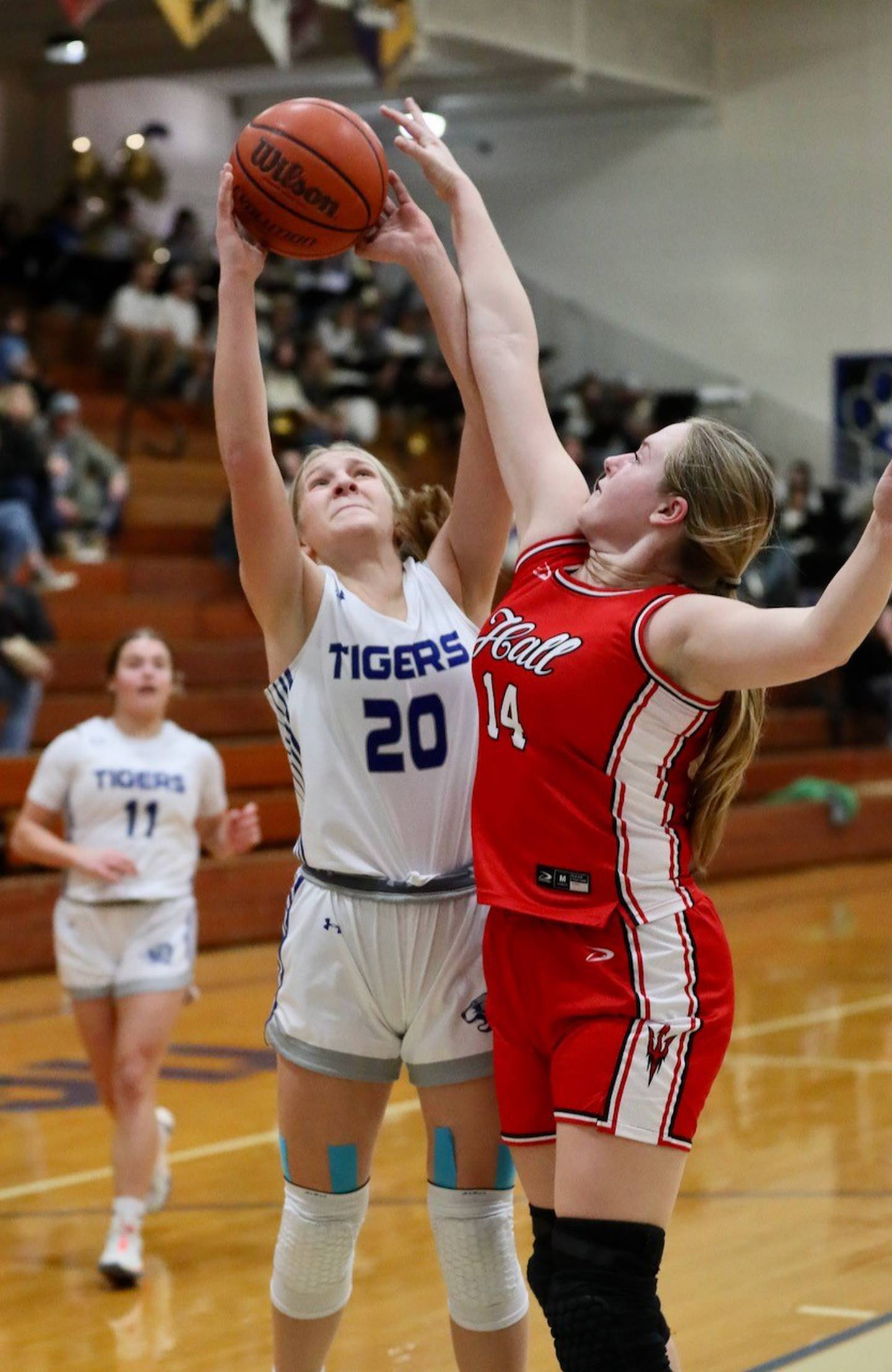 Hall's Ella Sterling battles Princeton's Reese Reviglio Thursday night at Prouty Gym. The Tigresses won 57-38.