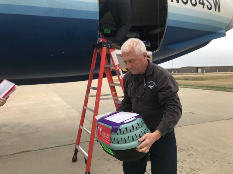 Chuck Studer hauls a rescue cat in its crate from a plane Tuesday, March 22, 2022, at Illinois Valley Regional Airport in Peru.