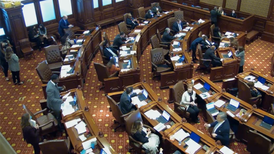 Illinois State Senate approves energy grid reliability task force