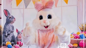 Gurnee Park District plans Bunny Bash event