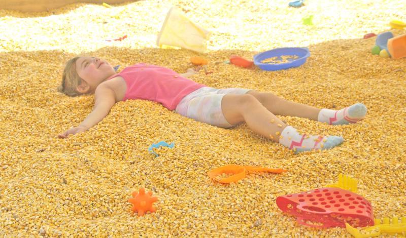 Aislyn Schuldt of Green Valley makes a "corn angel" in the corn box at the Lee County Fair near Amboy on Sunday, July 27, 2025.