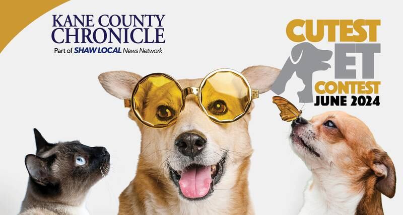 KCC June Cute pet promo