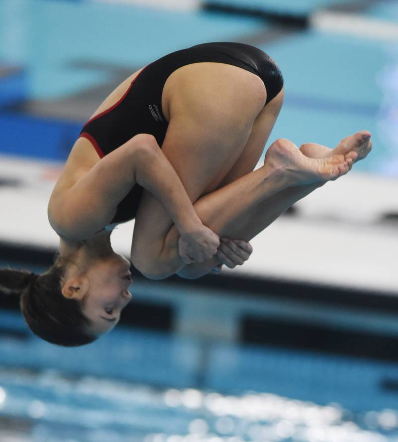 Hinsdale Central’s Meghan Martell dives during the IHSA girls state swimming finals at FMC Natatorium in Westmont on Saturday, Nov. 12, 2022.