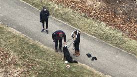 Photos: Thermal drone used to find lost dog in Crystal Lake