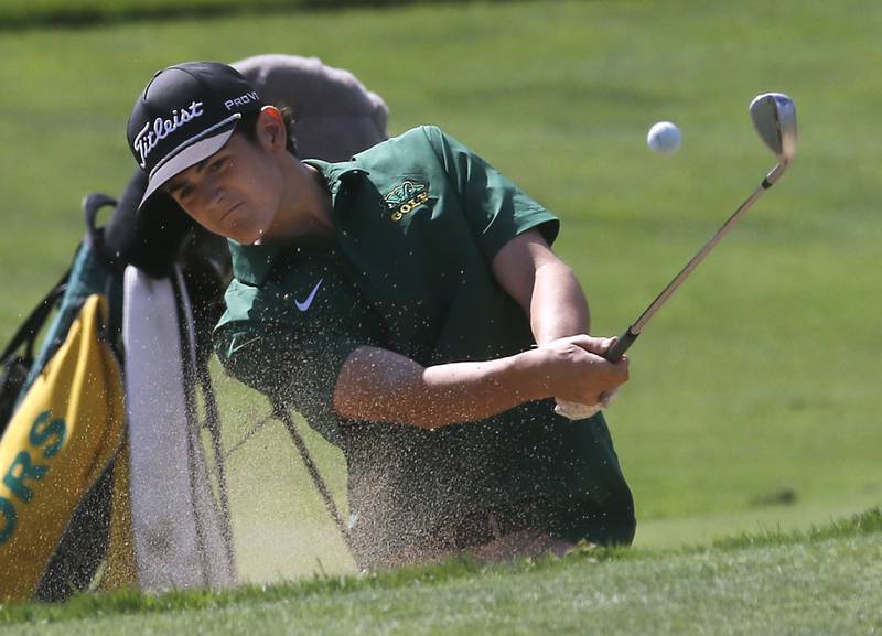 Crystal Lake South’s AJ Mitchels hits out of a sand trap during the Fox Valley Conference Boys Golf Tournament Thursday, Sept. 25, 2025, at Foxford Hills Golf Club in Cary.