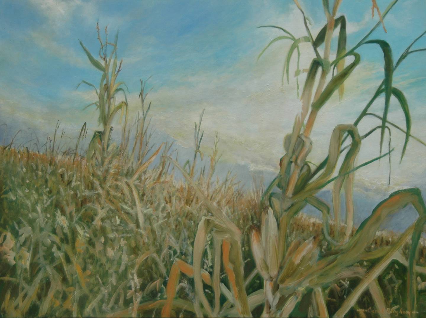 “Due East,” an oil painting on canvas by Carol Bingham of Sycamore, is part of the Regional Survey exhibit put on by The Next Picture Show gallery in Dixon.