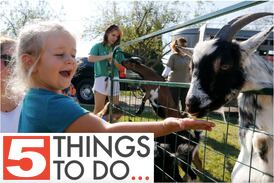 5 things to do in McHenry County: Settlers’ Days and fall shopping