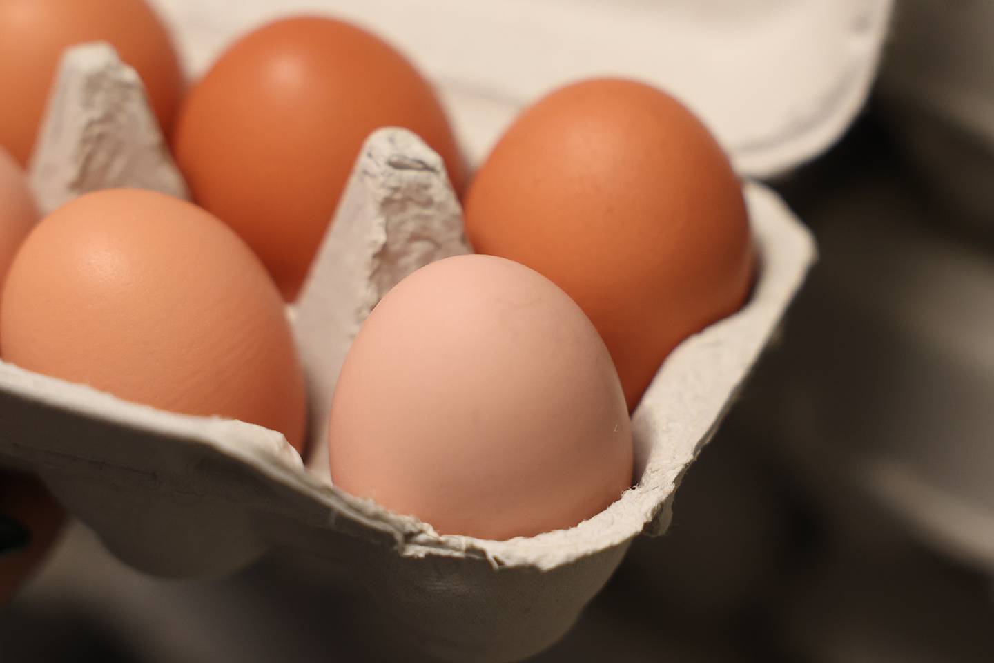 Farm 2 Veterans raises hundreds of free range chickens on their Manhattan farm to donate eggs to various organization  that provide meals to veterans.