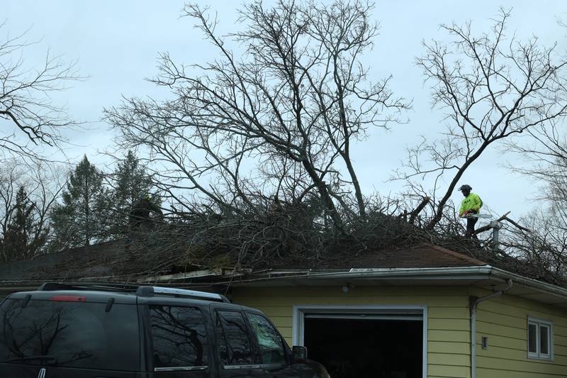 People work to remove a tree from the roof of a home along Julie Drive in Aroma Park on March 11, 2026 following a March 10 tornado that passed through Kankakee County.