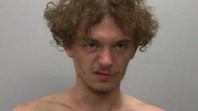 Dixon man enters not guilty plea to felony armed violence, multiple weapons violations 