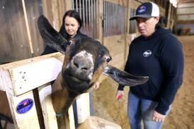 Photos: Live, Learn and Lead provides opportunities for education, healing and fun