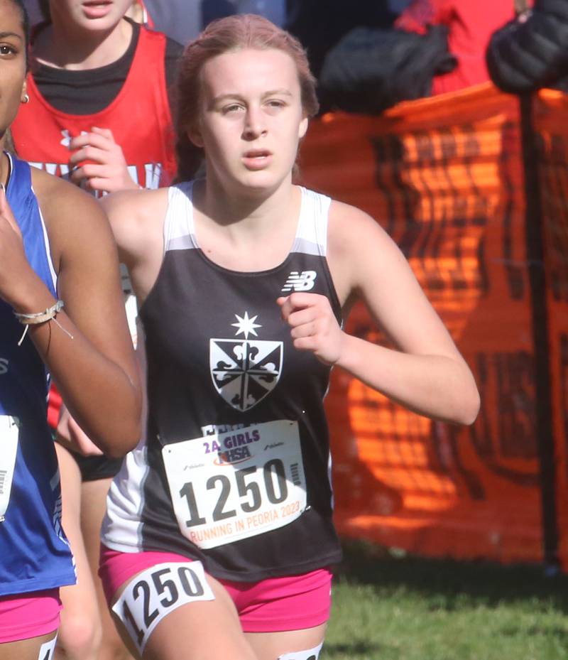 Fenwick's Allison Austin competes in the Class 2A State Cross Country race on Saturday, Nov. 4, 2023 at Detweiller Park in Peoria.
