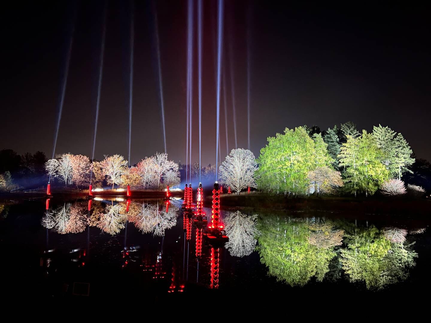 Radiant Reflections is one of the new attractions of Illumination: Tree Lights at The Morton Arboretum.