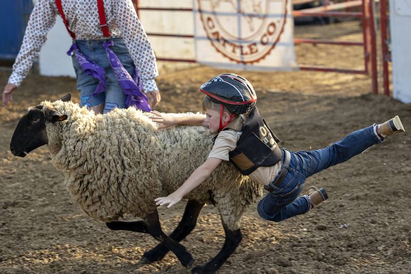 Daegan Magne, 6, of Dixon loses his grip in the mutton busting event Thursday, August 7, 2025, at Carroll County Fair’s T and A Bucking Bulls Rodeo.
