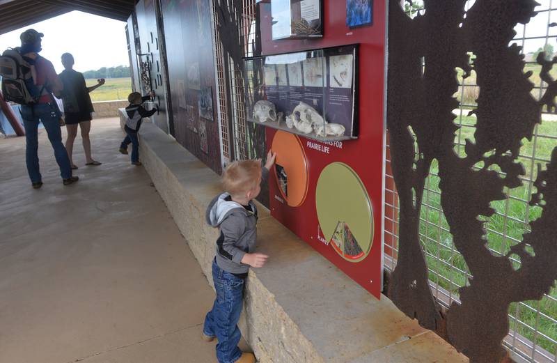 Brantley Chisamore, 2, of Rochelle, checks out one of the interactive displays at the Visitor Center during the Nachusa Grassland's Autumn on the Prairie on Saturday, Sept. 16, 2023.