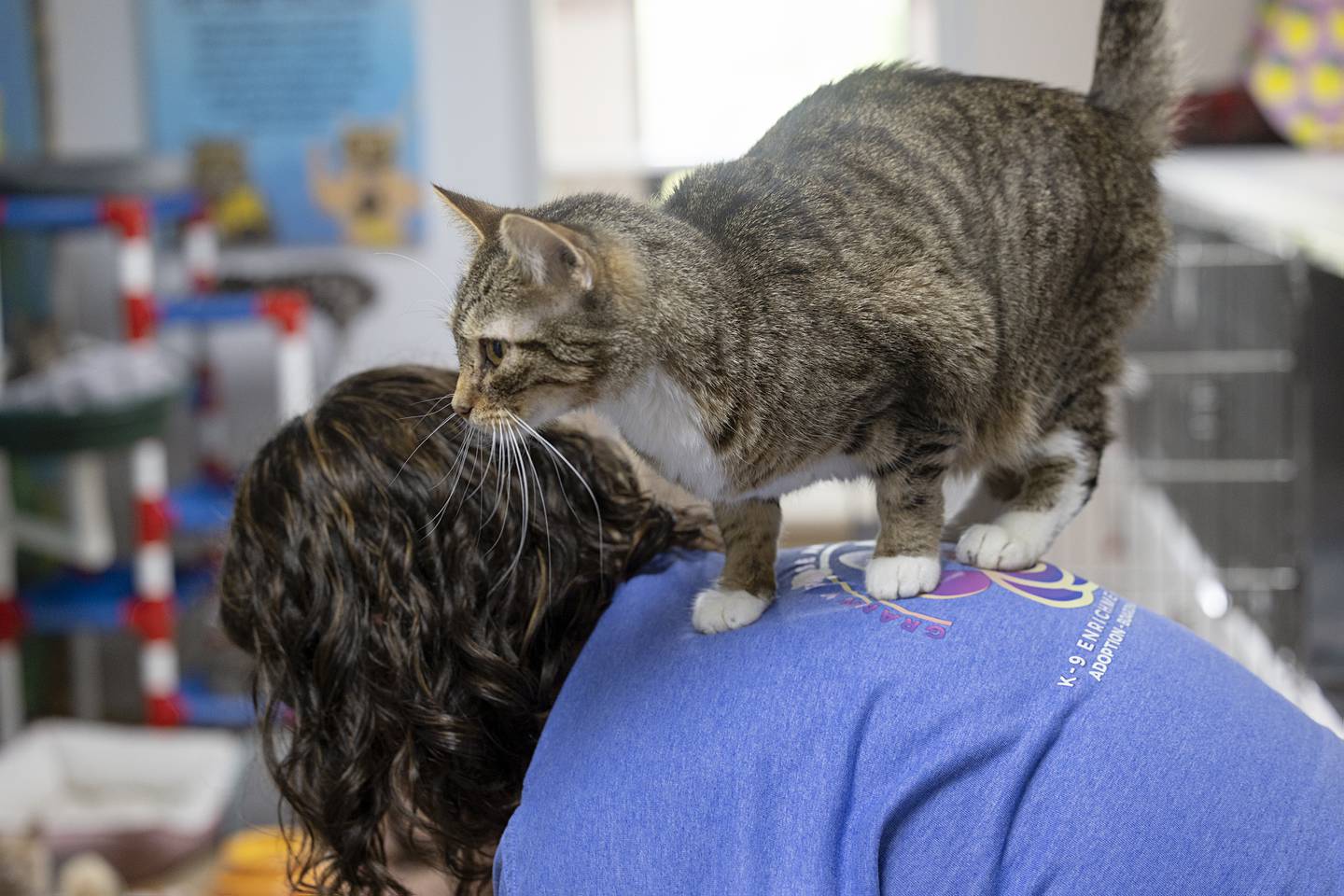 Girly-Pop jumps on the back of director Shannon Eastman Friday, April 24, 2026, at Granny Rose Animal Shelter in Dixon.