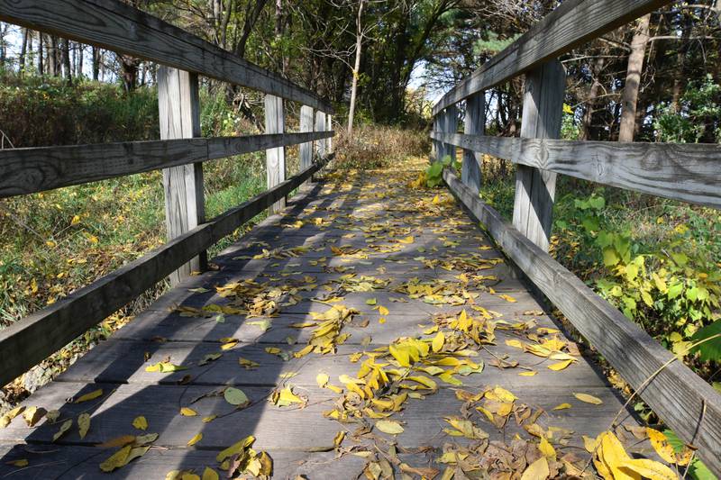A bridge is covered with fallen leaves Tuesday, Oct. 24, 2023, at Merritt Prairie Forest Preserve just south of DeKalb.