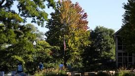 Summer’s extreme heat, drought could diminish fall colors