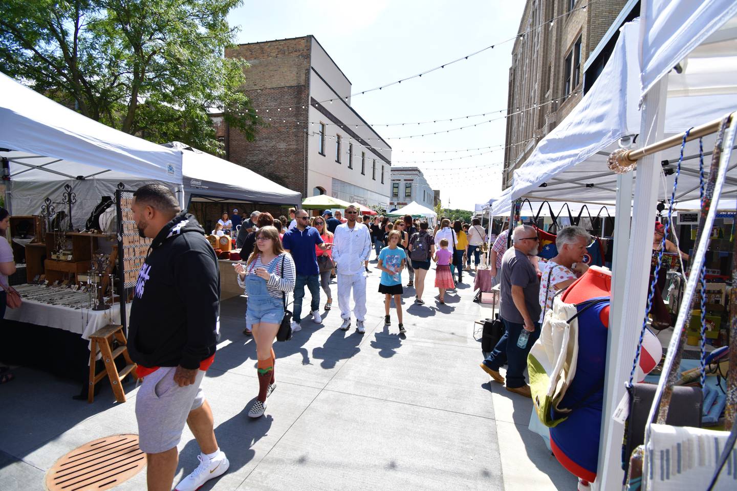 Alley Arts Festival takes place August 30 at the Water Street Mall in Aurora.