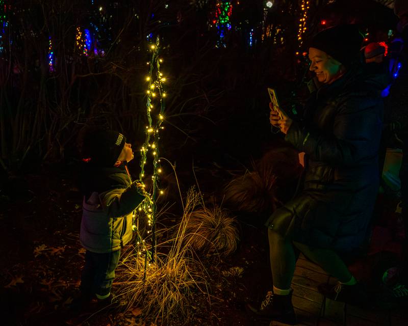 Jessica Fiala take a picture of her son Andrew at the Lombard Jingle Bell Jubilee. Dec 2, 2023