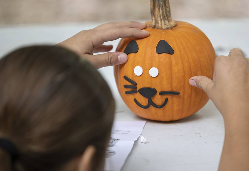 Sproul gave her pumpkin a “gourd-jus” cat face Saturday, October. 12, 2024, at John Deere Historic Site’s Fall Fest.
