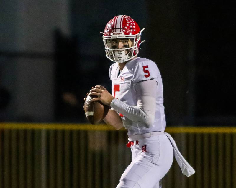 Naperville Central's Sebastian Hayes (5) drops back to pass during Class 8A quarterfinal football game between Naperville Central at Lyons on Friday, Nov 15, 2024  in Western Springs.