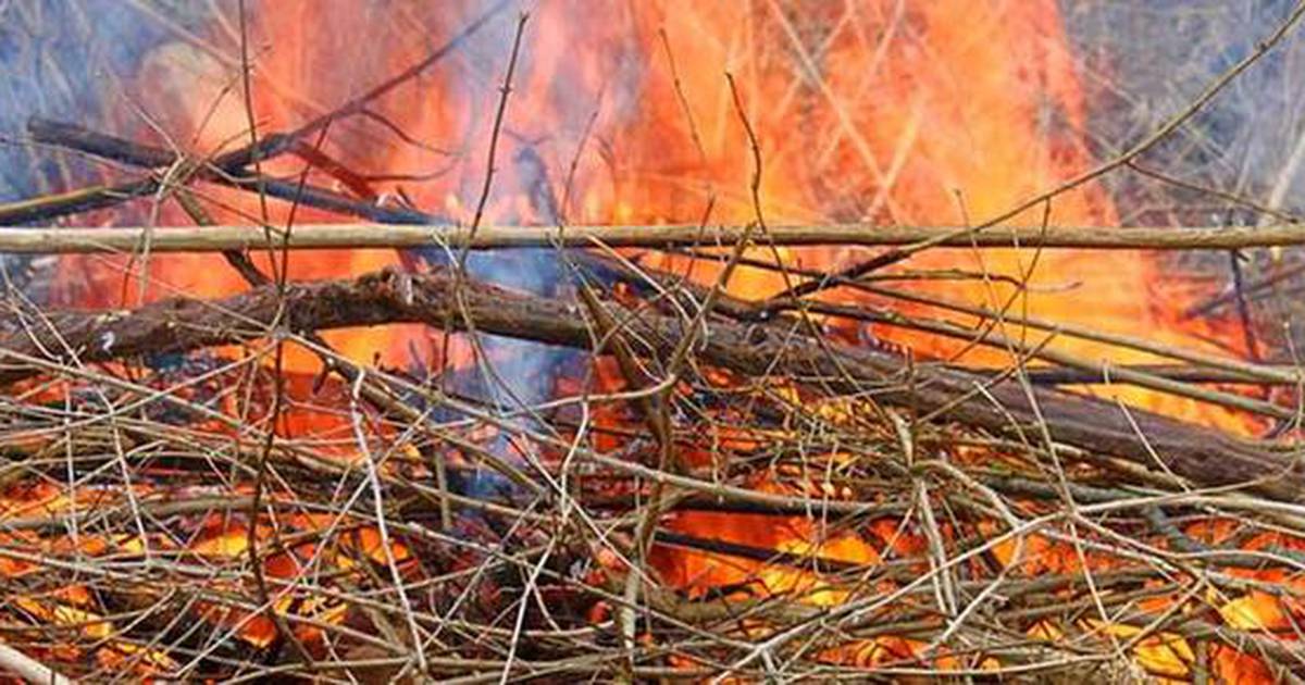 Campton Hills issues reminder about brush burning rules Shaw Local