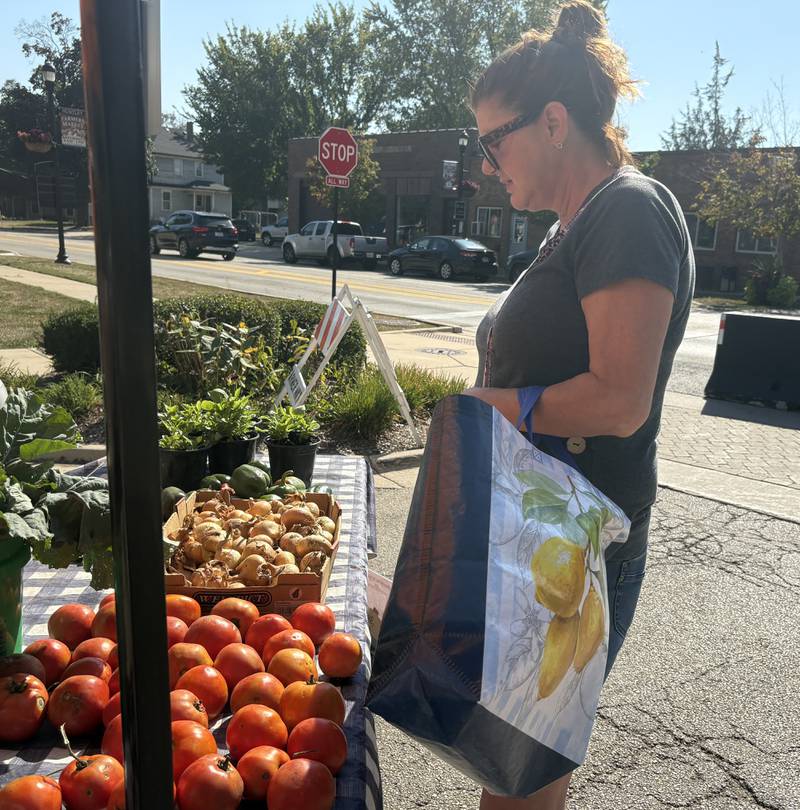 Lisa Trent looks at tomatoes at the Huntley Farmers Market Oct. 4, 2025.