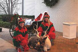 Christmas arrives at Summerfield Zoo in Belvidere