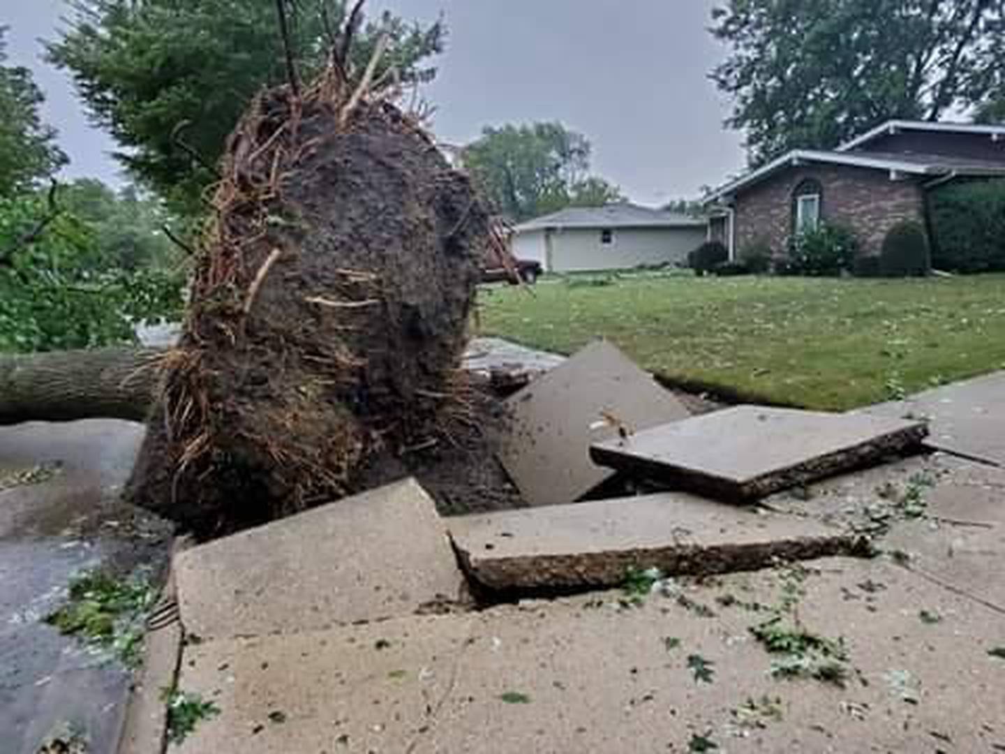 Joliet 2020 derecho