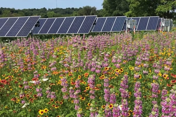 Yorkville joining community solar farm to reduce city electricity bills by 10%