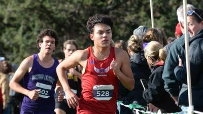 Dixon boys advance after taking 2nd: Sauk Valley cross country state qualifiers