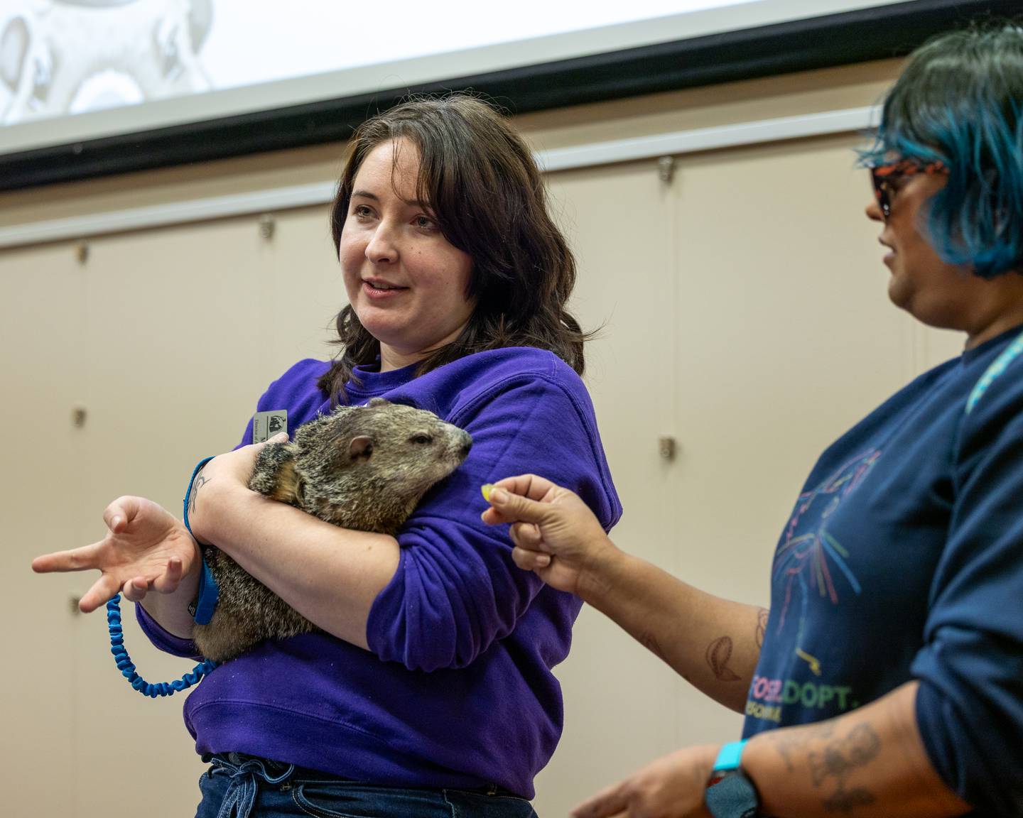 Wanda the groundhog sniffs almond given by Dee Patel as she's held by handler Molly Craig on Sunday, Feb. 1, 2026 at Starved Rock Visitors Center in Oglesby.